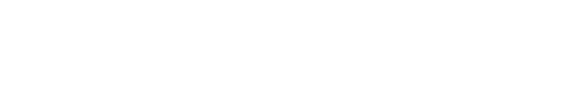 Sun Valley Cerebrovascular Conference Logo