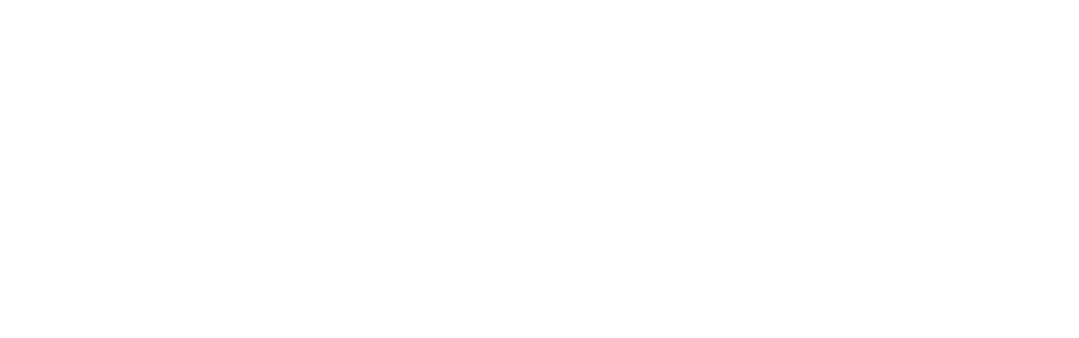 Sun Valley Cerebrovascular Conference Logo